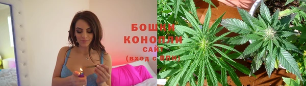 винт Бородино