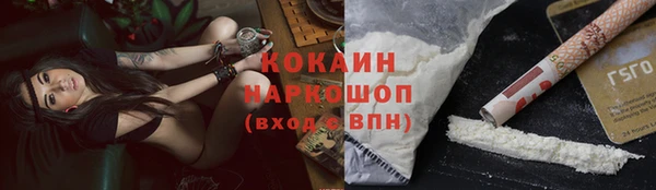 винт Бородино