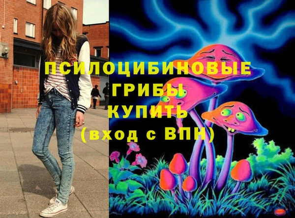винт Бородино