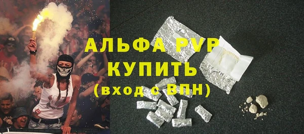 винт Бородино