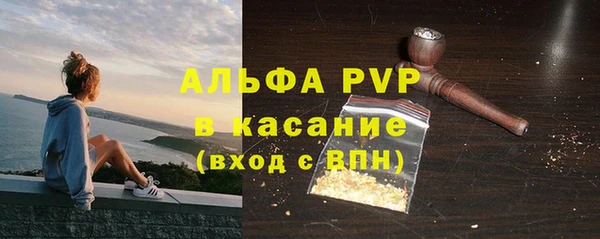 винт Бородино