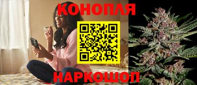 сатива Белореченск