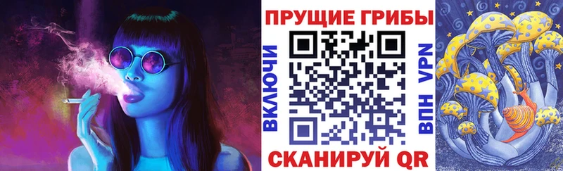 Псилоцибиновые грибы Magic Shrooms  закладки  Вичуга 