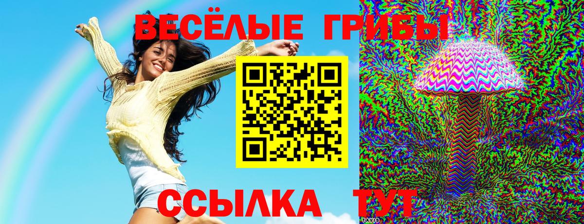 Псилоцибиновые грибы Magic Shrooms Вичуга