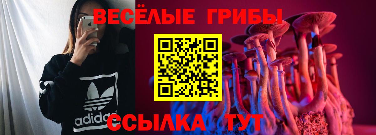 Вичуга  Галлюциногенные грибы Psilocybine cubensis  Вход с VPN 