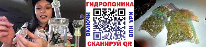 Шишки марихуана OG Kush  Вичуга 